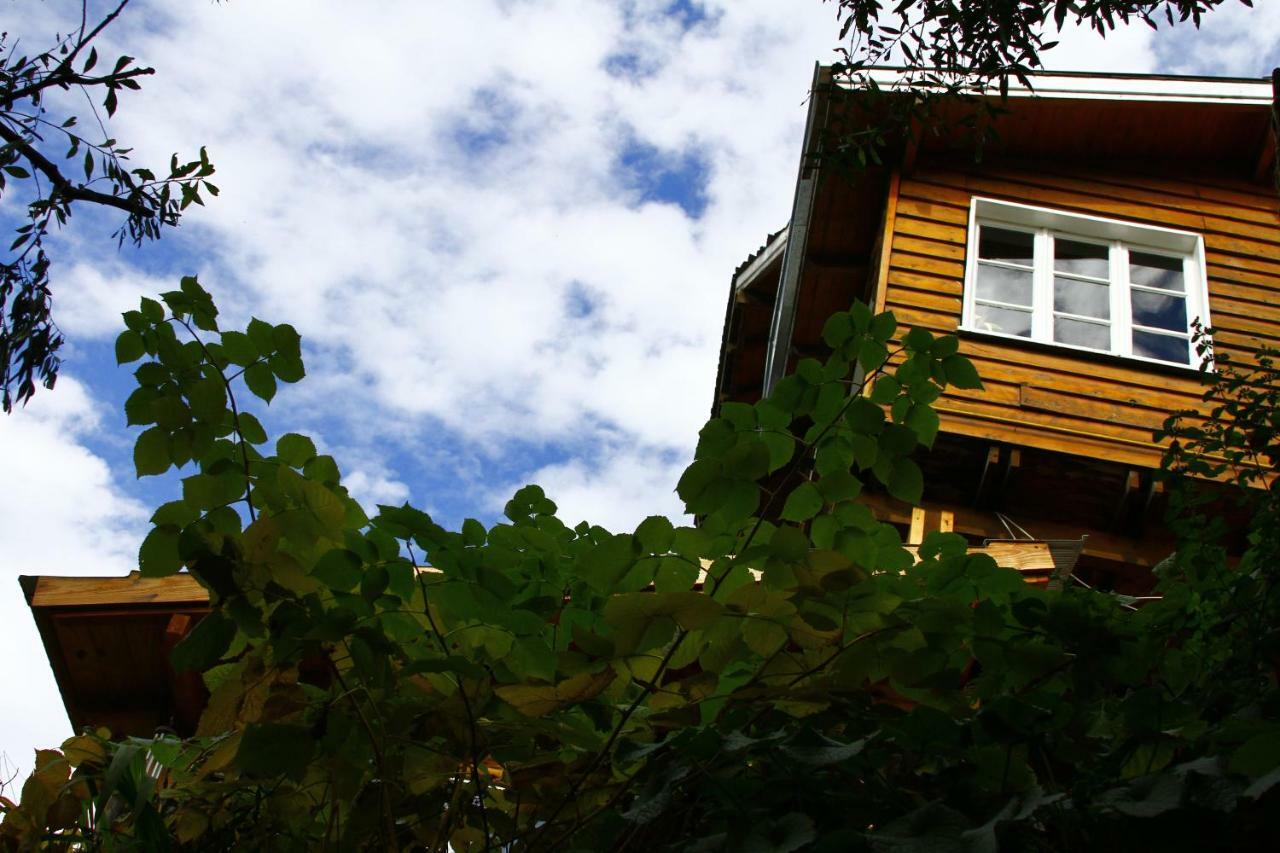 Bed and Breakfast Pajaro Azul Сан-Карлос-де-Барилоче Экстерьер фото